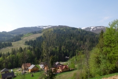 DSCF7515