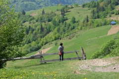 DSCF7835