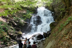 DSCF7501