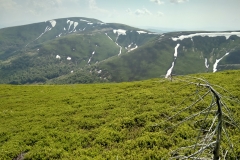 IMG_20180505_132000_HDR