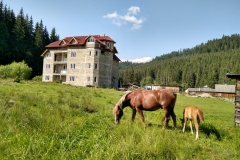 IMG_20170809_162403_HDR