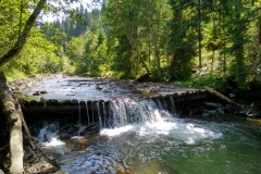 IMG_20170810_140200_HDR