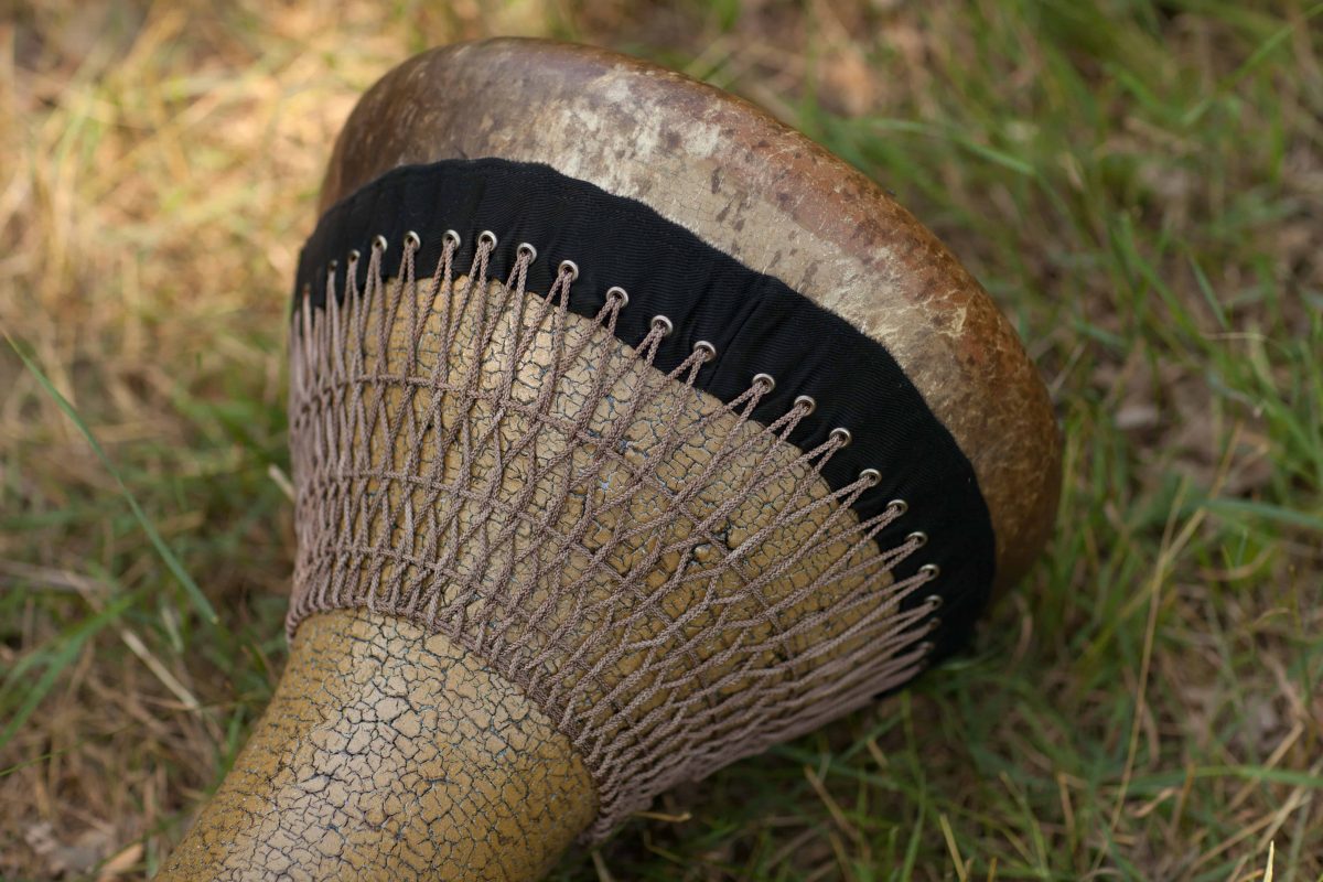 doholla_fish_skin2 doholla fish skin in Ukraine handmade